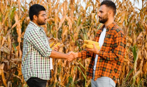 Contract Farming
