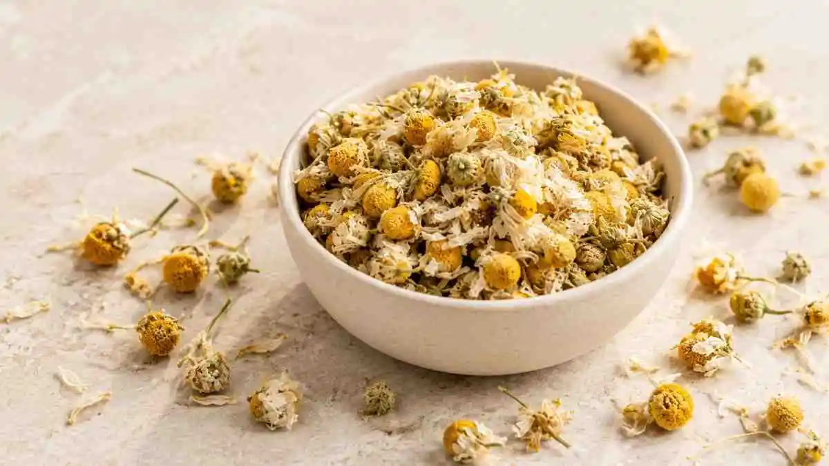 Dehydrated Chamomile Flower: Industrial Uses, Benefits and Applications
