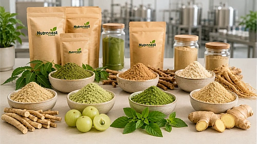 7 Essential Herbal and Ayurvedic Powders to Integrate into Your Daily Diet