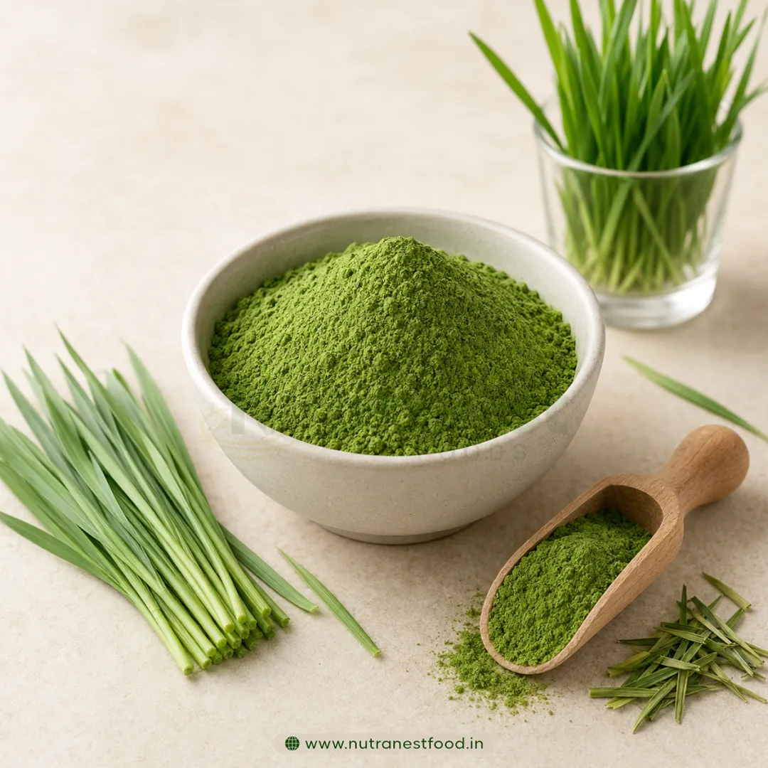 Barley Grass Powder Manufacturers in Erode