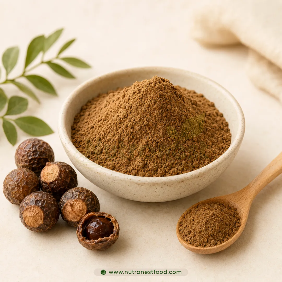 Reetha Powder Manufacturers in Chennai