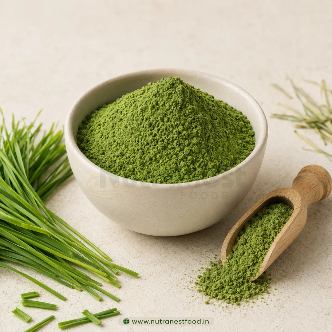 Wheatgrass Powder Manufacturers in Bikaner