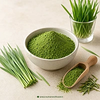 Barley Grass Powder Manufacturers in Bikaner