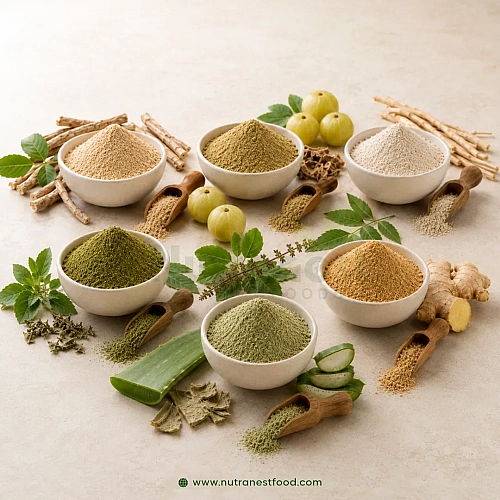 Herbal & Ayurvedic Powders Manufacturers in Tiruchirappalli