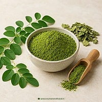 Moringa Leaf Powder Manufacturers in Bikaner