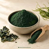 Spirulina Powder Manufacturers in Bikaner