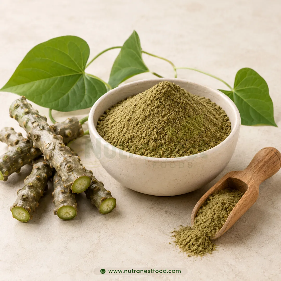 Giloy Powder